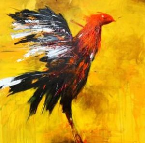 Gallos de Pedro Gallardo - 20 x 16 - 2024