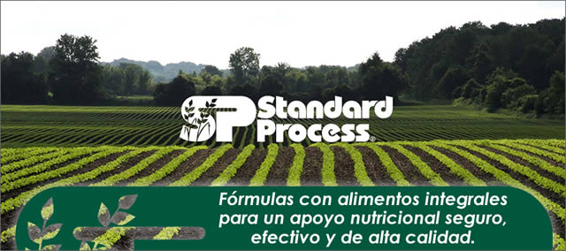Standard Process
