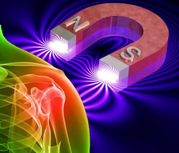 Hulda Clark, ReBuilder Medical ¿Qué es la Terapia Magnética? Hulda Clark, ReBuilder Medical ¿Qué es la Terapia Magnética?