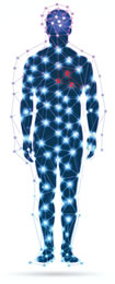 terapia vascular fisica