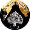 Bonsai Chapin