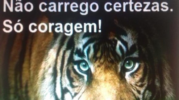 DETETIVE FALC�O PROFISSIONAL ESPECIALIZADO BRASIL E EXTERIOR ATUANDO EM TODO O BRASIL 24 HORAS