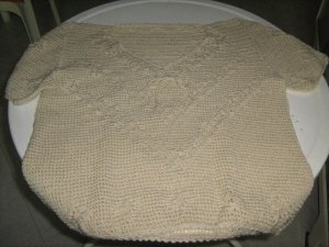 Blusa de Ara�as