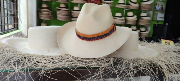 Sombrero Borsalino Colombia