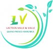 LACTEOS VALLE&VALLE