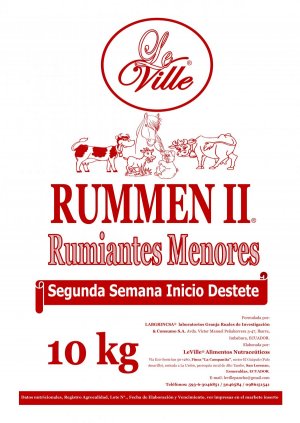 RUMMEN II