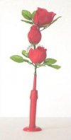 Rosas luminosas