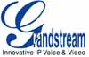 GrandStream - Telefonía IP